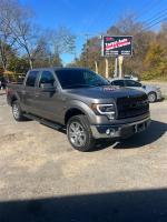 2014 Ford F-150 Pic 2833_V202411091202383