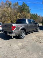 2014 Ford F-150 Pic 2833_V202411091202385