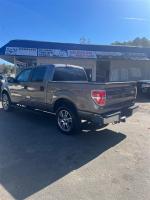 2014 Ford F-150 Pic 2833_V202411091202389