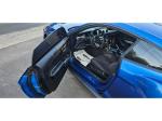 2018 Ford Mustang Pic 2833_V202508091220179