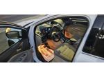 2013 Ford Escape Pic 2833_V202509241203326