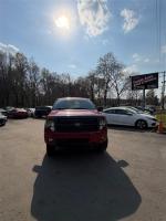 2010 Ford F-150 Pic 2833_V202602121513056