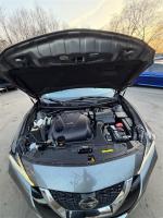 2019 Nissan Maxima Pic 2833_V2026030706021913
