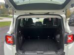 2020 Jeep Renegade Pic 2835_V202410311628027