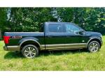 2019 Ford F-150 Pic 2835_V202506021123323
