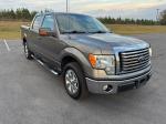 2010 Ford F-150 Pic 2835_V202511201409064