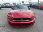 2013 Ford Mustang Pic 2836_V2024100501303200012