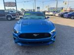 2019 Ford Mustang Pic 2836_V2025042301303800042