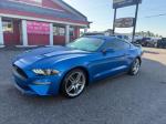 2019 Ford Mustang Pic 2836_V2025042301303800043