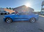 2019 Ford Mustang Pic 2836_V2025042301303800044