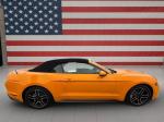 2018 Ford Mustang Pic 2836_V2025090915303300058