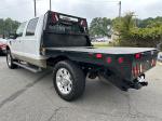 2010 Ford F-250 Sd Pic 2837_V202408191438285