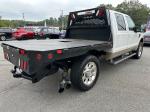 2010 Ford F-250 Sd Pic 2837_V202408191438287