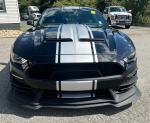 2022 Ford Mustang Gt Super Snake Pic 2837_V202409061151243