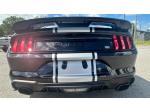 2022 Ford Mustang Gt Super Snake Pic 2837_V202409061151246