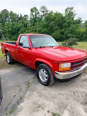 1994 Dodge Dakota WS Reg. Cab 6.5-ft. Bed 2WD for sale by dealer