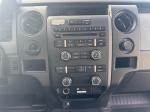 2014 Ford F-150 Pic 2848_V2024101615094710