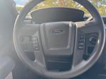 2014 Ford F-150 Pic 2848_V2024101615094711