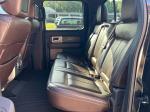 2010 Ford F-150 Pic 2848_V2025042502501916