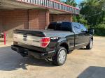 2010 Ford F-150 Pic 2848_V202504250250193