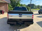 2010 Ford F-150 Pic 2848_V202504250250194