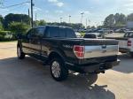2010 Ford F-150 Pic 2848_V202504250250195