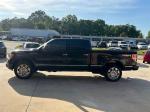 2010 Ford F-150 Pic 2848_V202504250250196