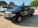 2010 Ford F-150 Pic 2848_V202504250250197