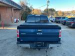 2013 Ford F-150 Pic 2848_V202511201629384