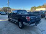 2013 Ford F-150 Pic 2848_V202511201629385