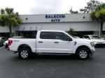 2021 Ford F-150 Pic 2854_V2025011606304600062