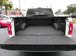 2021 Ford F-150 Pic 2854_V20250116063046000620