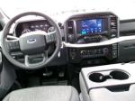 2021 Ford F-150 Pic 2854_V2025011606304600068