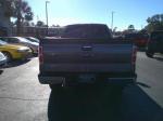 2013 Ford F-150 Pic 2854_V2025011606343600424