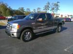 2013 Ford F-150 Pic 2854_V2025011606343600426