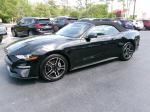 2023 Ford Mustang Ecoboost Premium Convertible Pic 2854_V2025042611000923