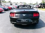 2023 Ford Mustang Ecoboost Premium Convertible Pic 2854_V202504261100094