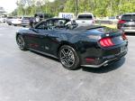 2023 Ford Mustang Ecoboost Premium Convertible Pic 2854_V202504261100095