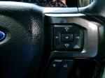 2021 Ford Expedition Max Limited Pic 2854_V2025050115571019