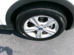 2013 Ford Escape Se 4Wd Pic 2854_V202505201541398