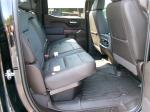 2021 Gmc Sierra 1500 Denali Crew Cab 4Wd Pic 2854_V2025060710412712