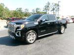 2021 Gmc Sierra 1500 Denali Crew Cab 4Wd Pic 2854_V202506071041276