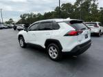 2020 Toyota Rav4 Xle Pic 2854_V2025091514353123