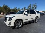 2019 Cadillac Escalade Luxury 4Wd Pic 2854_V202511041222446