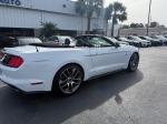 2017 Ford Mustang Gt Premium  Convertible Pic 2854_V202511151406083