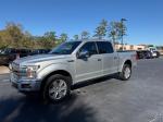 2019 Ford F-150  Supercrew Platinum 4X4 Pic 2854_V202512161146536