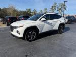 2023 Hyundai Tucson Limited Pic 2854_V202601061419026
