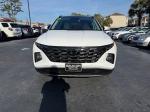 2023 Hyundai Tucson Limited Pic 2854_V202601061419027