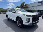 2023 Hyundai Palisade Sel Prem Pic 2854_V202605061135392
