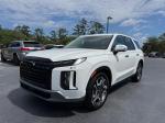 2023 Hyundai Palisade Sel Prem Pic 2854_V202605061135394
